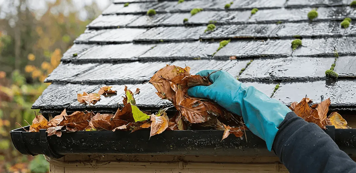 Gutter cleaning technician clearing wet leaves from roof gutters in Tempe, AZ